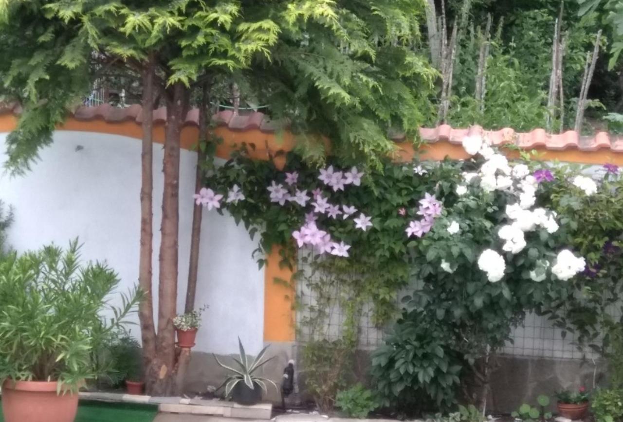 Vila Rosen Lozenets Bagian luar foto